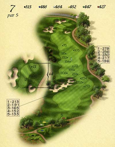 hole 7 layout