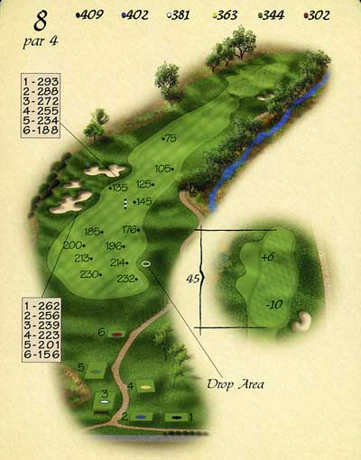hole 8 layout