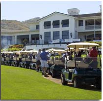 golf carts lined up for event